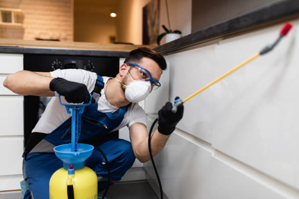 Flea Control Services in Wanchese, NC
