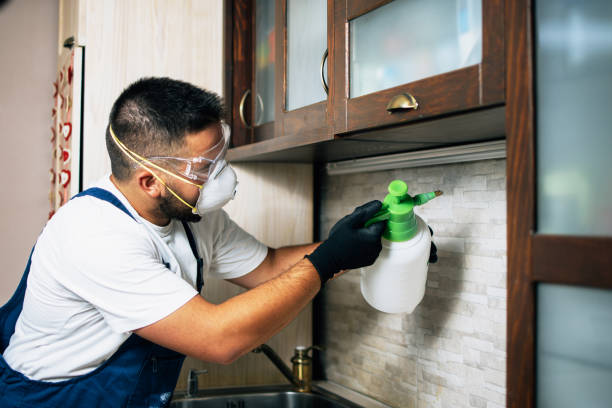 Best Pest Inspection Near Me  in Wahese, NC