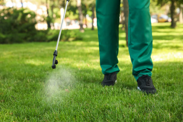 Best Wasp Removal Services  in Wahese, NC