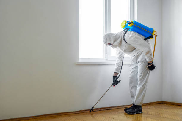  Wahese, NC Pest Control Pros