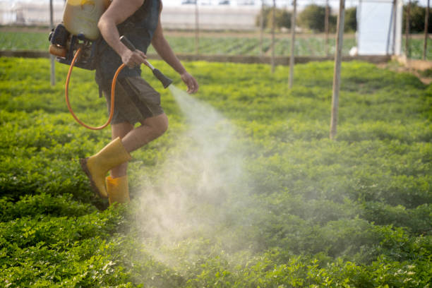 Best Pest Removal Services  in Wahese, NC