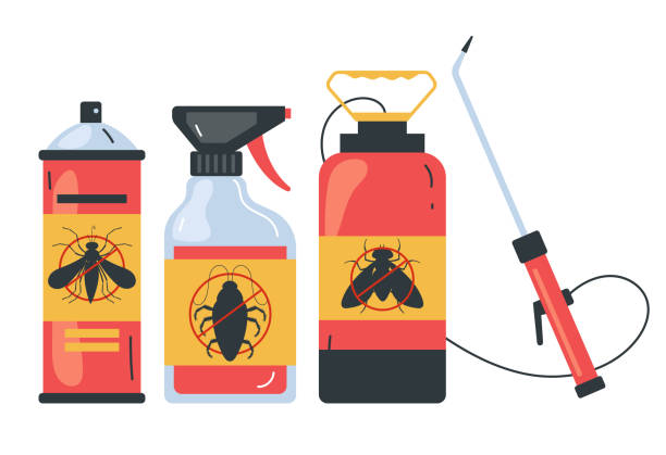 Best Pest Control Near Me in Wanchese, NC