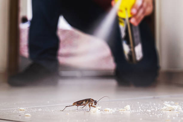 Best Pest Prevention Services  in Wahese, NC