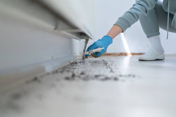 Best Commercial Pest Control Services  in Wahese, NC