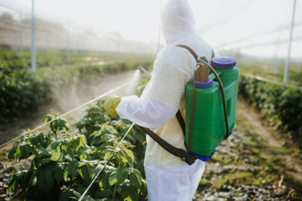 Best Mosquito Control Services  in Wahese, NC